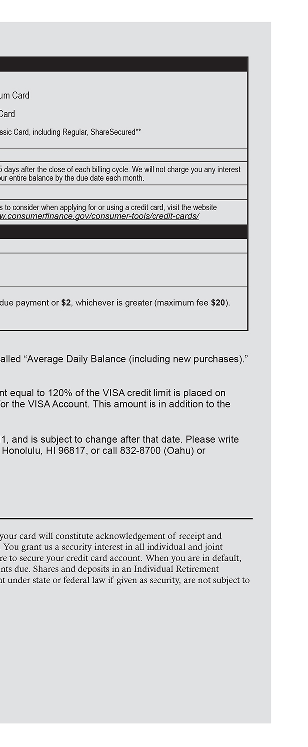 VISA Application Brochure Page 7