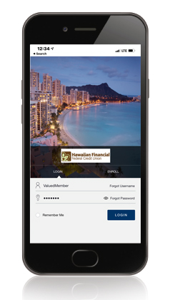 Screen capture on MyCard Visa Login